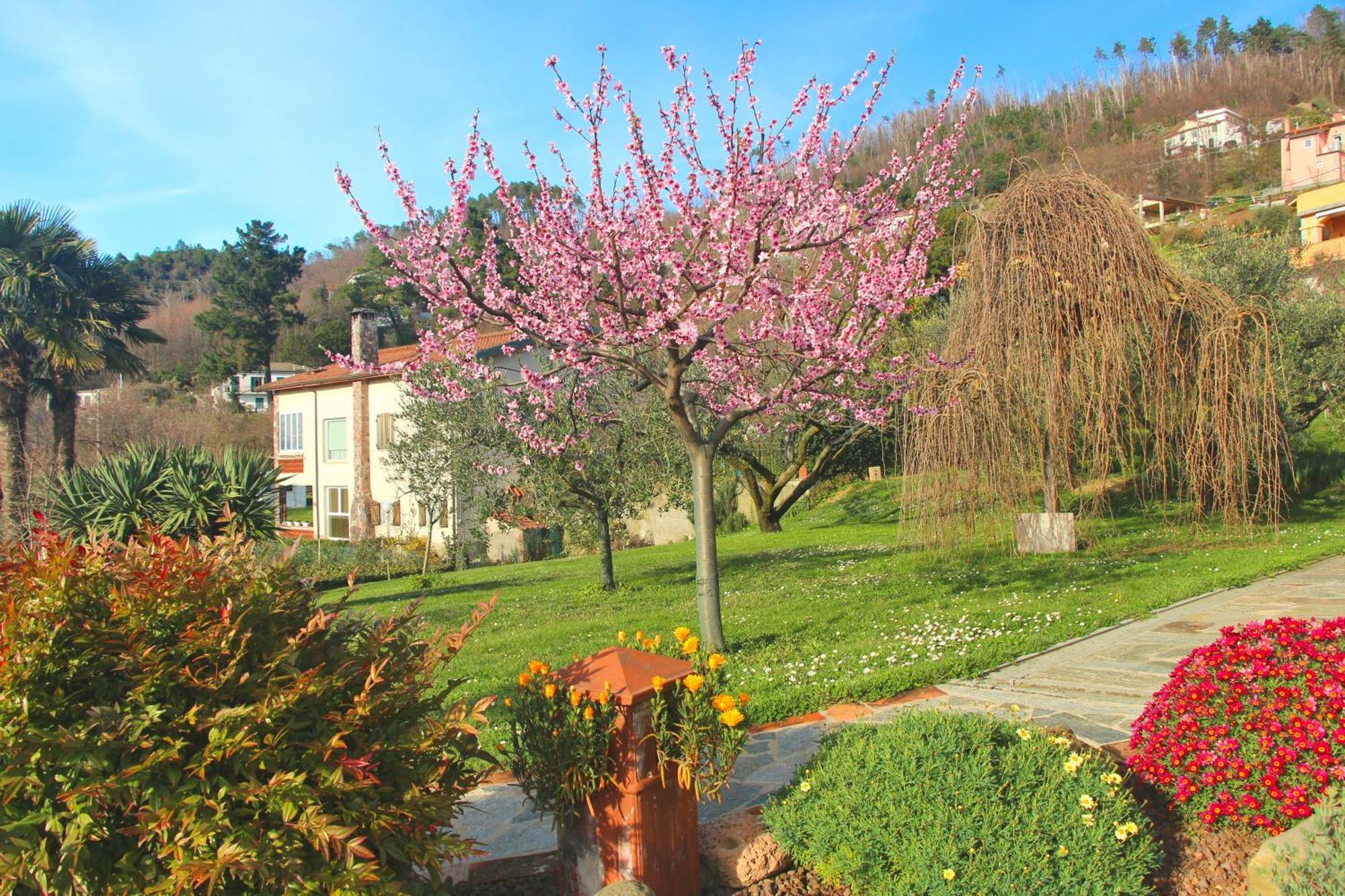 Casa Vacanze Ester Polverara Extérieur photo