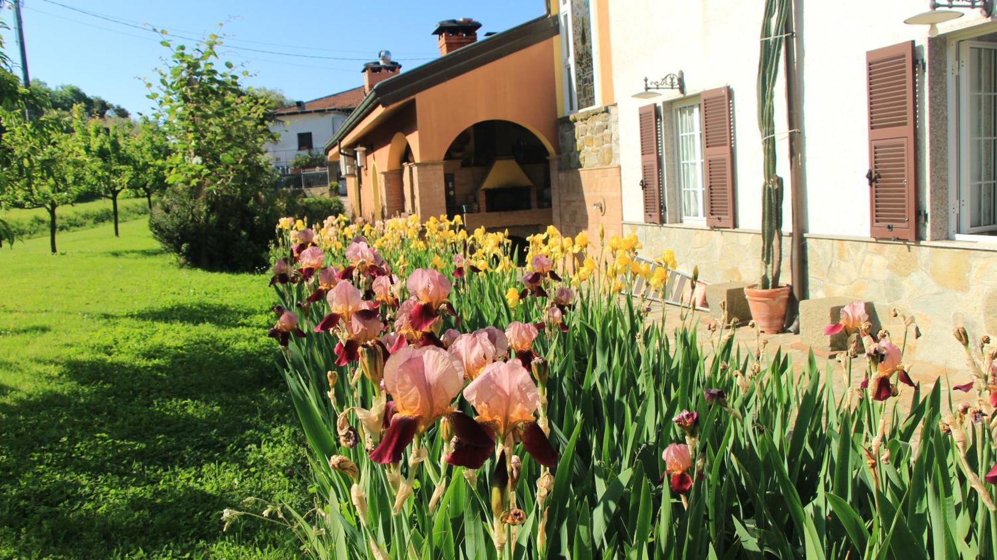 Casa Vacanze Ester Polverara Extérieur photo